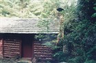 Front Laura's North Carolina Cabin